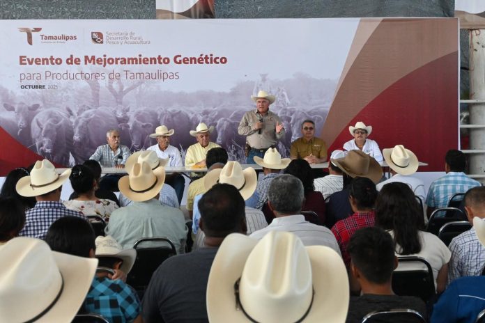 Avanza Tamaulipas 1
