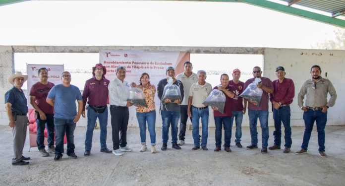 Avanza repoblamiento 1