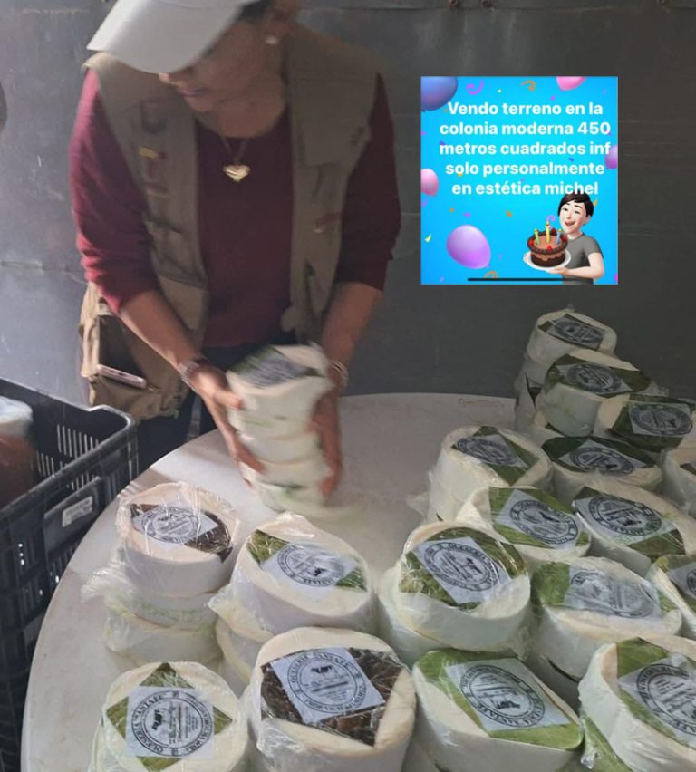 Retiran del mercado de SanFernando casi 300 piezas de queso fresco.