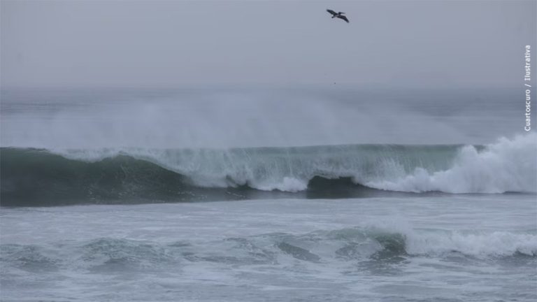 Alerta por tsunami tras sismo de 7.4 en Chiapas: Almirante Raymundo Morales pide ‘alejarse de las playas’
