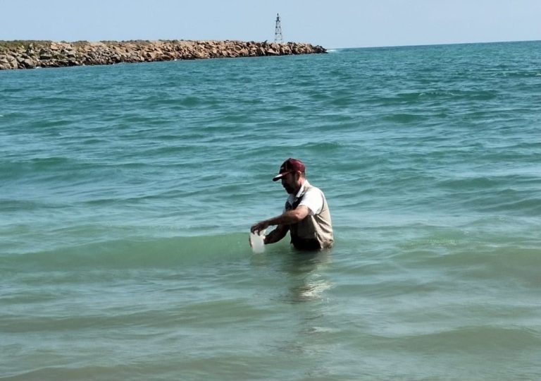 Playas de Tamaulipas, aptas y seguras para recibir a turistas en el verano 2026
