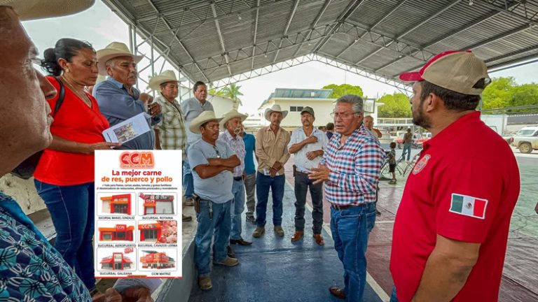 Coordinación para una mayor seguridad vial.
