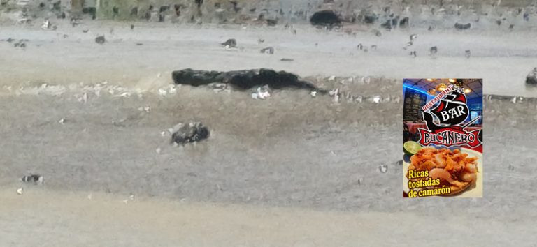 Enorme fuga de agua en las colonias del sur.