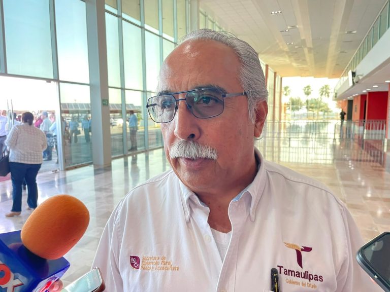 Registra Tamaulipas disminución de casos de gusano barrenador