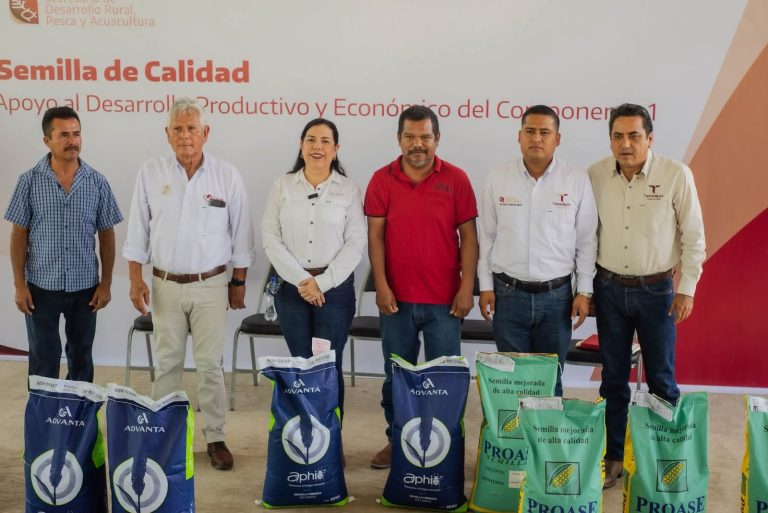 Fortalece Tamaulipas la producción agrícola con apoyos de semilla certificada