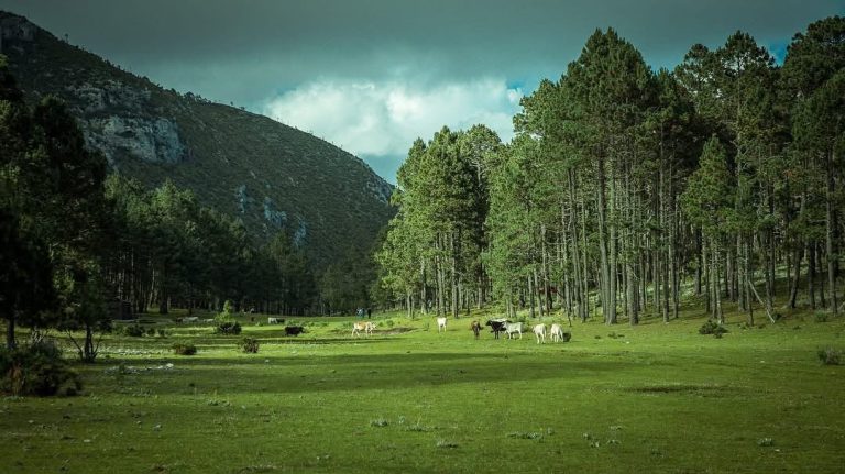 Fortalece Tamaulipas su oferta turística con nuevos miradores y paradores estratégicos