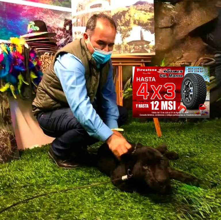 ​YAHUIC DEJA UNA HUELLA IMBORRABLE EN LA HISTORIA Y EL TURISMO DE GÓMEZ FARÍAS