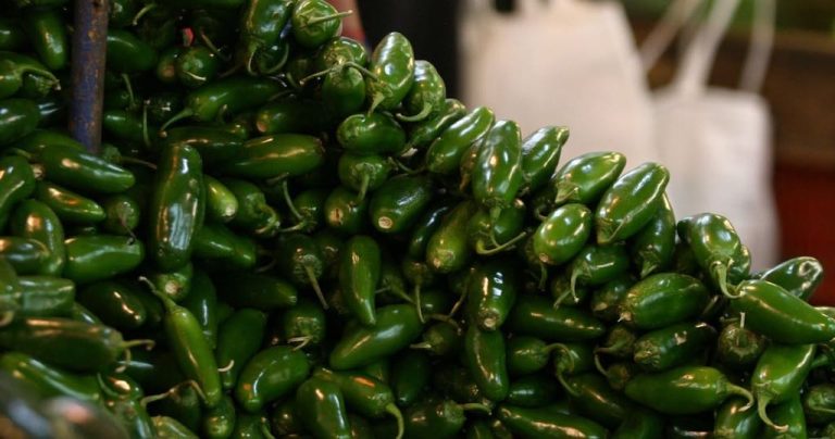Cofepris descarta brote de salmonela en chile jalapeño de una planta en Nuevo León