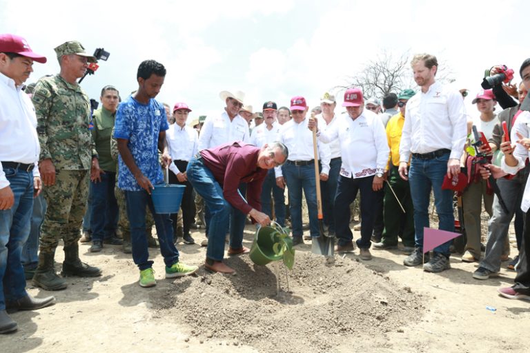 Tamaulipas participa en Jornada Nacional de Reforestación; se plantarán 15 mil árboles: Américo