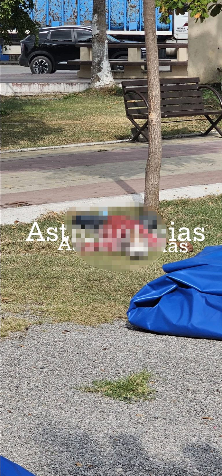 Muere hombre tras brutal agresión con un leño en El Mante