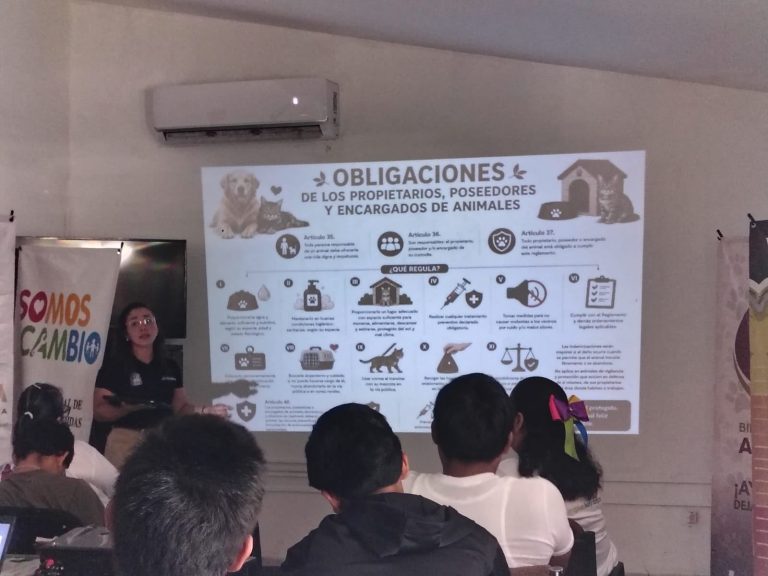 Gana Tamaulipas primer lugar nacional en “Somos el Cambio 2026”