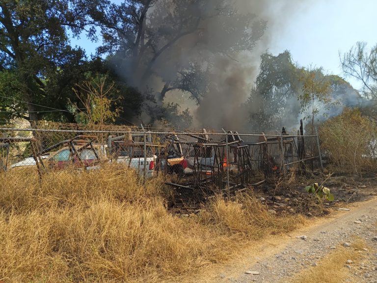 Se incendian 11 patrullas en desuso tras voraz fuego de zacatal en instalaciones de la Guardia Estatal