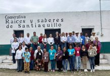 La UAT consolida proyecto de aprovechamiento del laurel para el emprendimiento rural